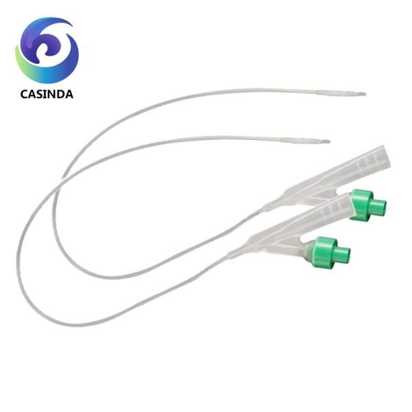Disposable two-dual lumen catheter