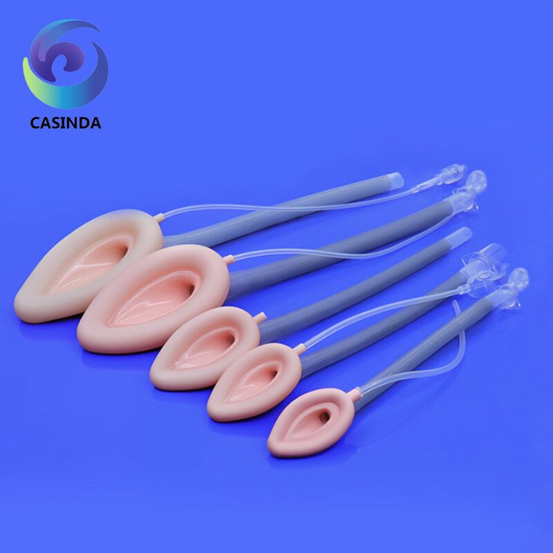 https://www.kingsihk.com/wp-content/uploads/2024/08/1-9.jpg